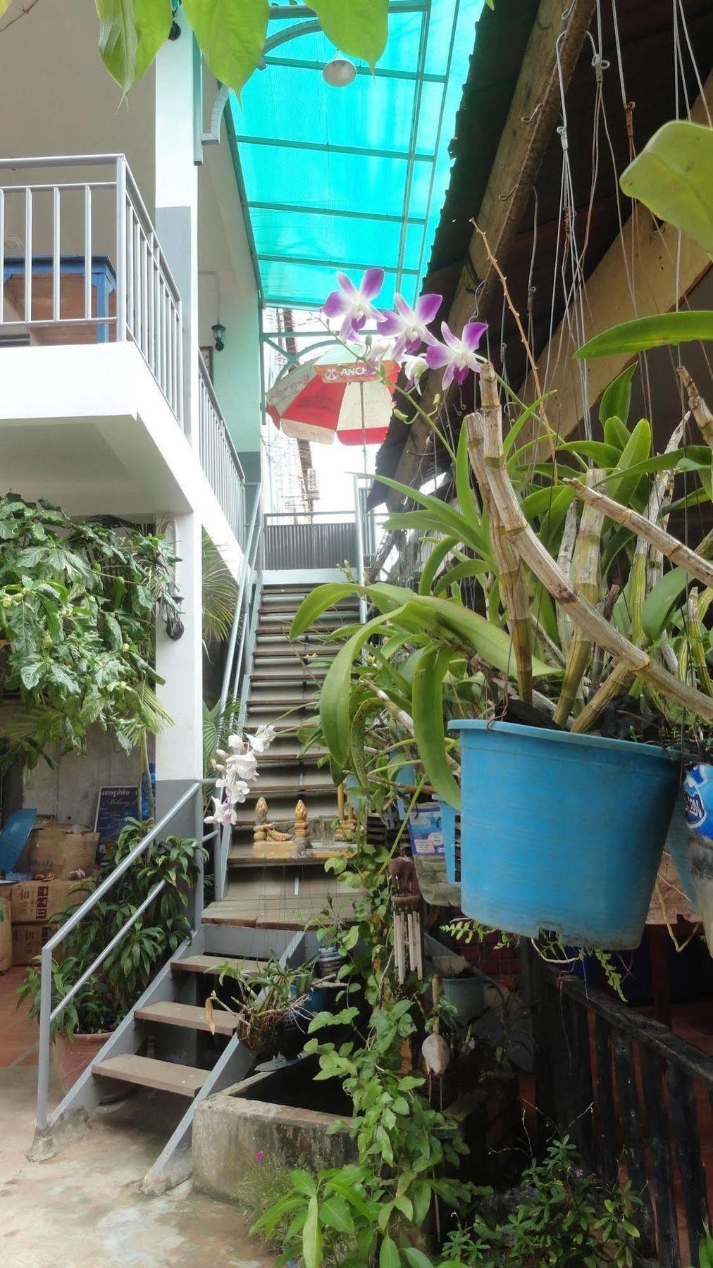 Green Park Village Guesthouse เสียมราฐ ภายนอก รูปภาพ